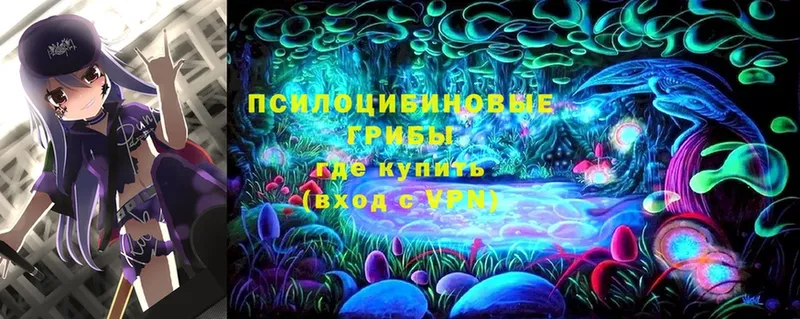 Псилоцибиновые грибы Cubensis  Михайловск 